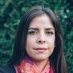 Autores Procedimiento-10